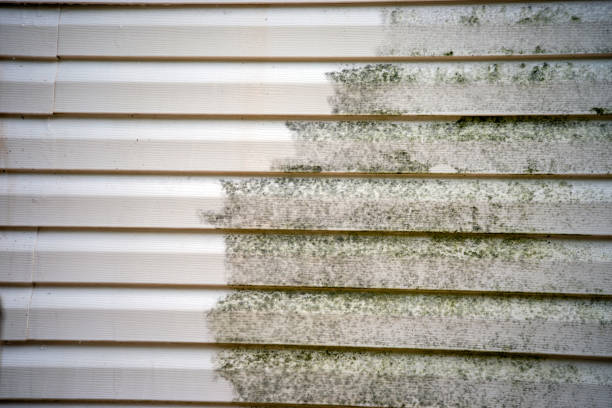 Best Siding for Commercial Buildings  in Susitna North, AK