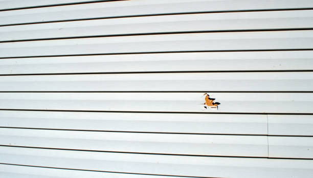 Siding Removal and Disposal in Susitna North, AK